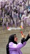 حس خوب بهار دلنشین و زیبای خدا