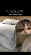 حق به توان هزاررررررر >>>🤣✨🎀