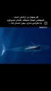 بجز انسان ها۰۰۰۰۰۰۰۰۰۰۰۰۰۰۰۰۰۰