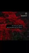 معنیش از خودشم قشنگ تره!!!!!!! 