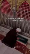 آخر وداع پدر با دختر... 💔💔😭