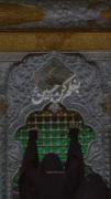 حسین جان مثل حرُمنو هم بپذیر...