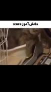 من که خیلی بدم میادداز این صدا شما هم؟