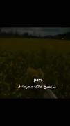 #شِيعَة عَليِ _ عَربِي _ مَذهبِي .