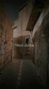 #شِيعَة عَليِ _ عَربِي _ مَذهبِي .
