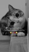 حتماً مارو دنبال پشیمون نمیشید
