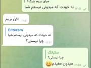 مگه موکب شجره طیبه چی داره که 80 شبه اونجایی؟ 