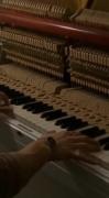 دردناک ، زیباست؛(.....🙃🖤🎹🌕
