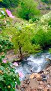 دره گنج نامه‌ رشته کوهای الوند همدان