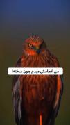 من انجامش میدم چووووون سخته