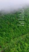 از زندگی لذت ببرید.............
