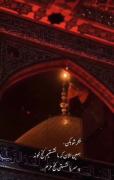 این ویدیو شد بزرگ ترین حسادت من به آدما ... 