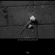 ای کاش خوشبختی هم مثل مرگ سهم همه بود 