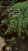 دلتنگیِ بی‌پایانِ بابا....🖤🥀
