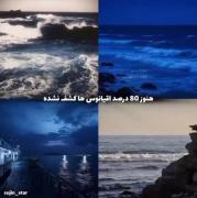الان من باور کنم اینا وجود ندارن ؟؟🫤😕