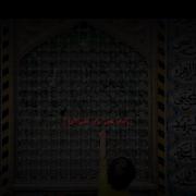 اِرباََ اِربا دل بابای علی اکبر بود...