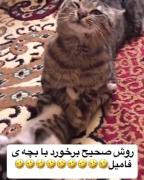 روش صحیح برخورد با بچه ی فامیل..... 