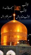 امام رضا دلم گرفته دوایِ دردم حرمت‌ها.