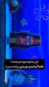 گوشه ای از خاطرات کودکی را برایت آوردم برای حالی بهتر🫠