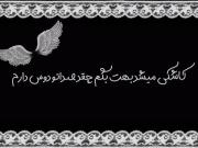 کاشکی میشد... به افتخار ماماناتون لایک کنید🙂