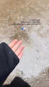 بارون که می‌باره، دلم بیشتر از همیشه به آرامشِ خدا نزدیک می‌شه. ☔️🤍
