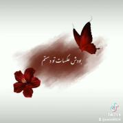 منم هربار شکست دلم قاب عکسات شکستن💖