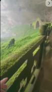 خیلی رویاییه💚💚💚💚💚💚💚💚💚💚💚💚💚💚💚💚💚