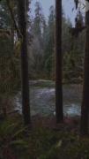 منم همینطور الان دلم میخواد هر جا باشم جز اینجا🫂🌧️🌲