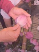 به منم یدونه بده خاله پیرزنن🦭🌷✨ منم میخوام یکی برام ازینا بگیرهه🪄