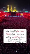 حسین جان .. می‌دونی که چقدر دلم تنگته پس دعا کن اربعین بیایم:)