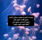 میخوام یه عروس‌دریایی باشم🗿🚬
