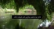 تنها درختی که عاشقشم👌🏻💚🌳..