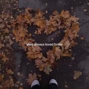 حیوان مورد علاقه م:🧡🦊🍂>>>..