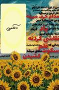 آیمووی برای نقاش ها (ایمووی هنری) 