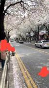 بخش کوچیکی از زیبایی های کره رو ببینیم؟!🇰🇷🇰🇷✨️✨️💫💫💖💖💗💗