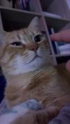 ⁦ฅ^•ﻌ•^ฅ⁩⁦ฅ^•ﻌ•^ฅ⁩⁦ฅ^•ﻌ•^ฅ⁩⁦ฅ^•ﻌ•^ฅ⁩⁦ฅ^•ﻌ•^ฅ⁩