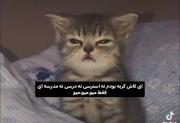 ⁦/ᐠ｡ꞈ｡ᐟ\⁩⁦/ᐠ｡ꞈ｡ᐟ\⁩⁦/ᐠ｡ꞈ｡ᐟ\⁩⁦/ᐠ｡ꞈ｡ᐟ\⁩
