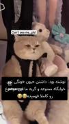 چه کیوت،این از رفقای من باهوش تره🙄😁
