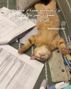حق.......‌....................