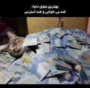 ........حق......😁😅..........