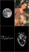 - اشکم🫠🫀 تاقانەی ژیانم🙊❤ تاقانەی دڵم🙊❤ ماڵەکەم❤ هاوسەرەکەم❤🌸 