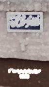 `در بی امیدی بسی امید من است🖤!