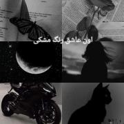 تو عاشق چه رنگی هستی؟ 💙💜❤️🖤