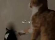 دیگه ازت بریدم🦦🎀‌‌‌‌‌‌‌‌‌‌‌‌‌‌