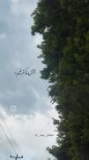 باران عذابم میدهد..🌧️. ‌. ‌