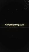 به روی گل آدم دست کشید و با یک انگشت امضا زد نوشت :اثر حیدر