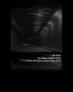 به هر کس... اندازه شعورش پرو بال بده. که هر جوجه خروسی خیال نکنه 🦅 